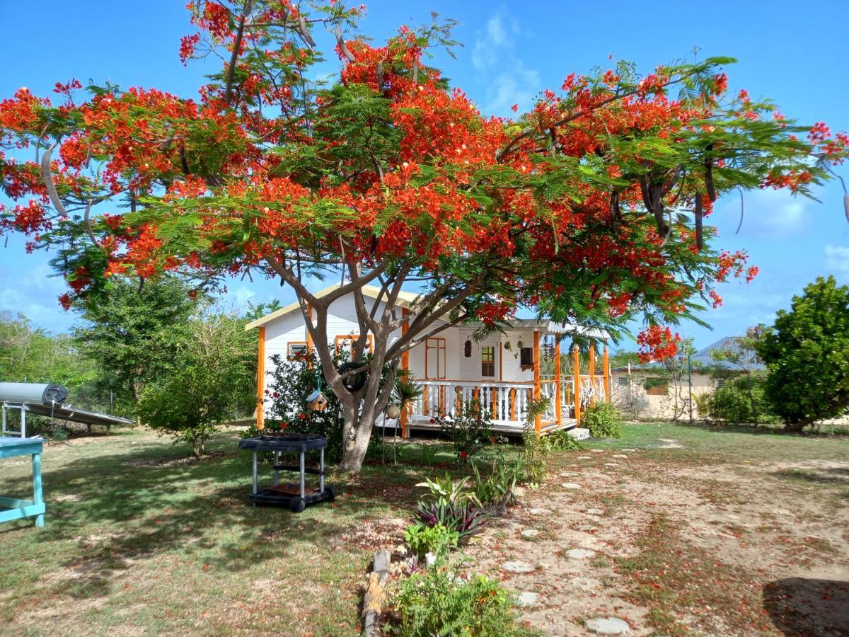 Bungalow Au Soleil Saint-Francois  Kültér fotó